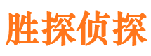 陇西侦探公司